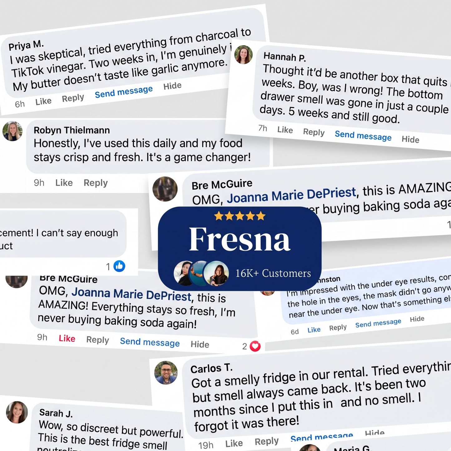 Fresna Fridge Deodoriser