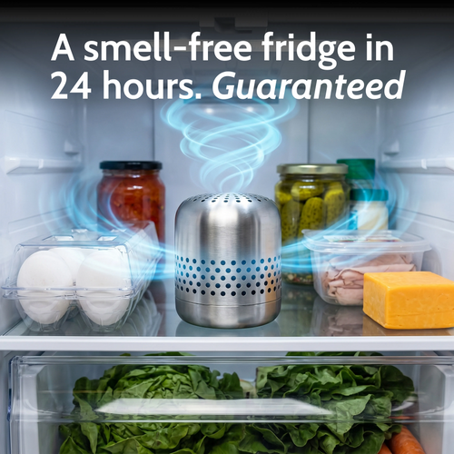 Fresna Fridge Deodorizer