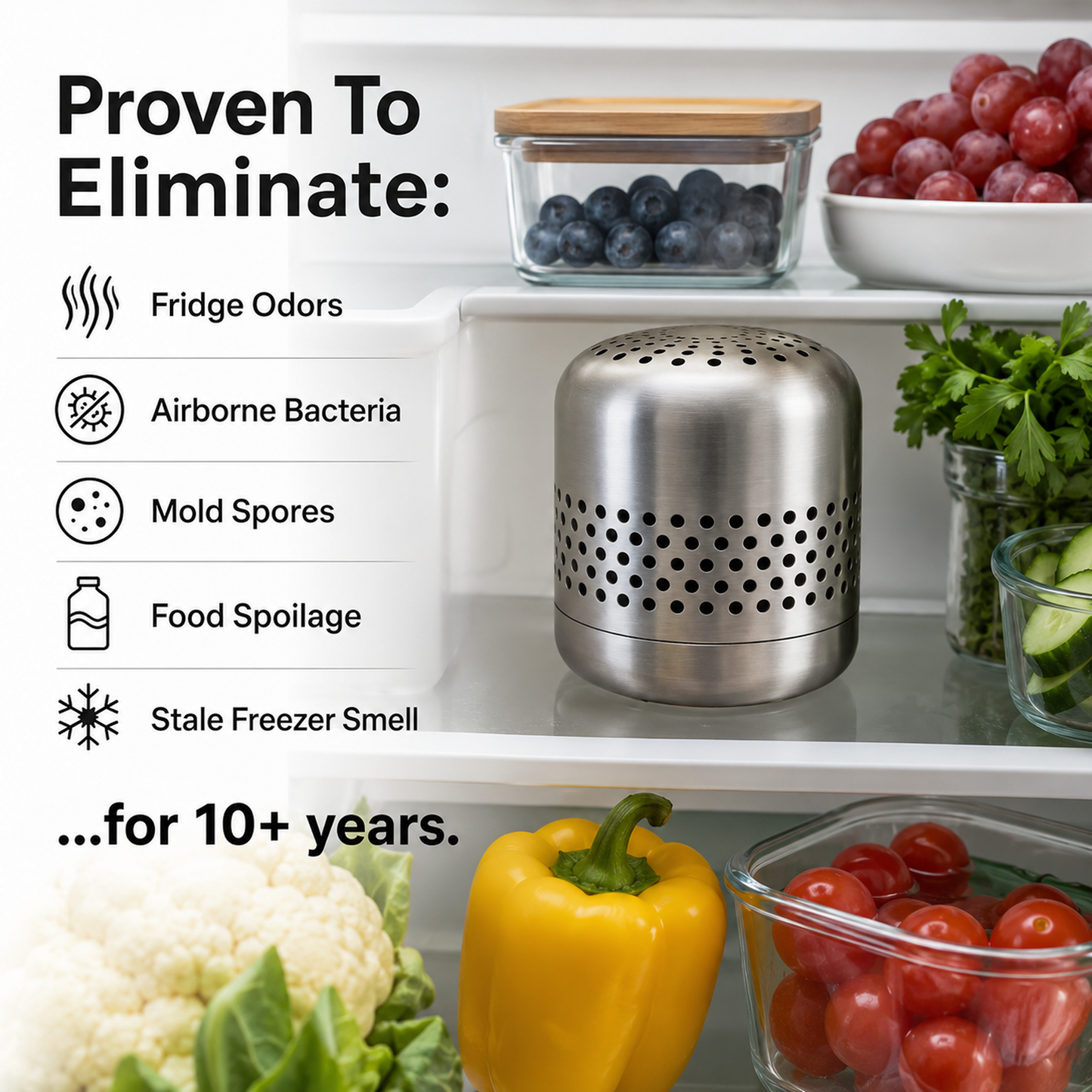 Fresna Fridge Deodorizer