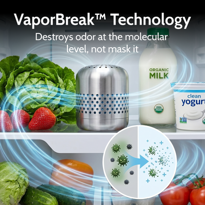Fresna Fridge Deodorizer
